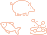 기존 스킨부스터