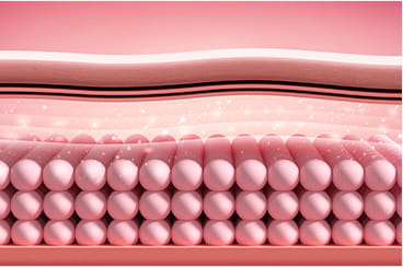 진피 컨디션 정돈