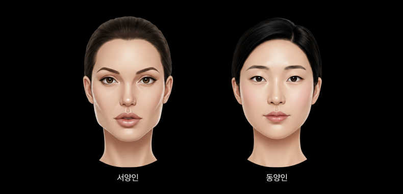 서양인과 동양인의 얼굴형 비교 일러스트 — 동양인은 좌우 폭이 넓고 광대가 옆으로 발달해 얼굴 가장자리 여백이 많은 편